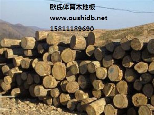 体育木地板十大品牌_体育专用木地板_体育木地板推荐