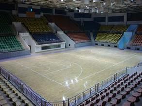 体育专用木地板_体育木地板十大品牌_体育木地板推荐